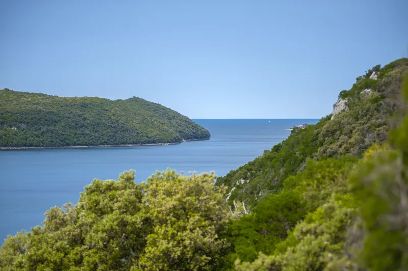 Speedboottour naar Lim-fjord & Red Island-archipel