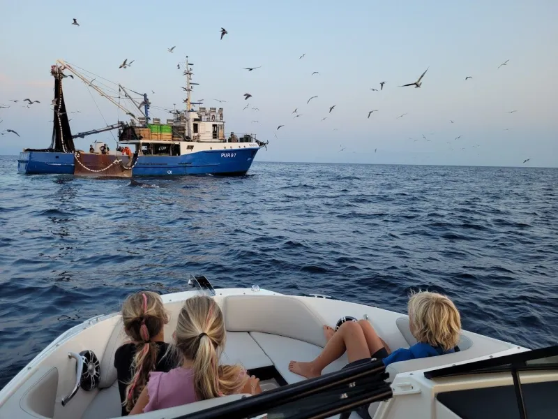 Sunrise dolphin watching i ribari na djelu – izlet gliserom