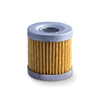 Coltri Oil filter cartridge for MCH 22/30/36 (until  2018) and 15/16/18 TPS (until 2021)