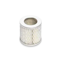 Coltri Filter usisnog zraka za Efficient i Prime liniju