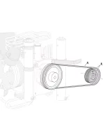 Coltri Trasmission belt A