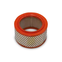 Coltri Suction filter for Rotary Silent LP 300