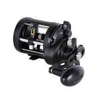 Rival II 20 LWLH Multiplikator Penn